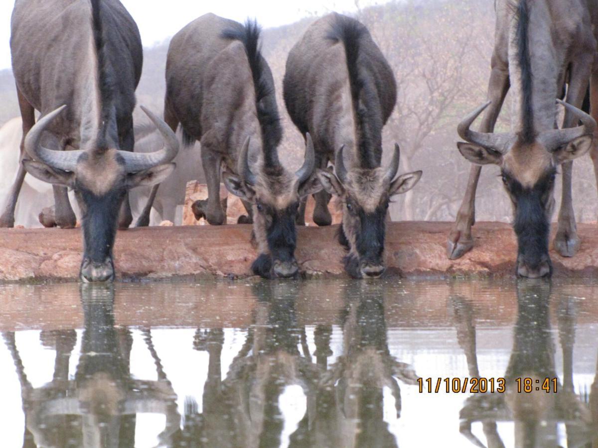 Okutala Etosha Lodge Outjo Ngoại thất bức ảnh