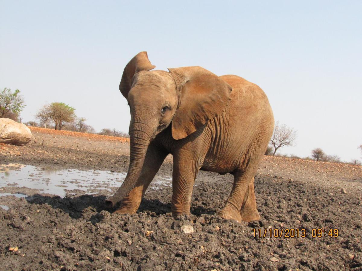 Okutala Etosha Lodge Outjo Ngoại thất bức ảnh