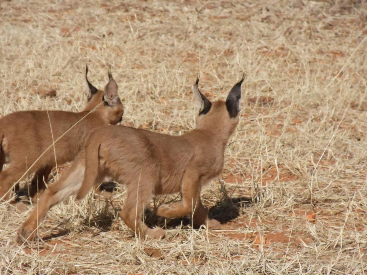 Okutala Etosha Lodge Outjo Ngoại thất bức ảnh
