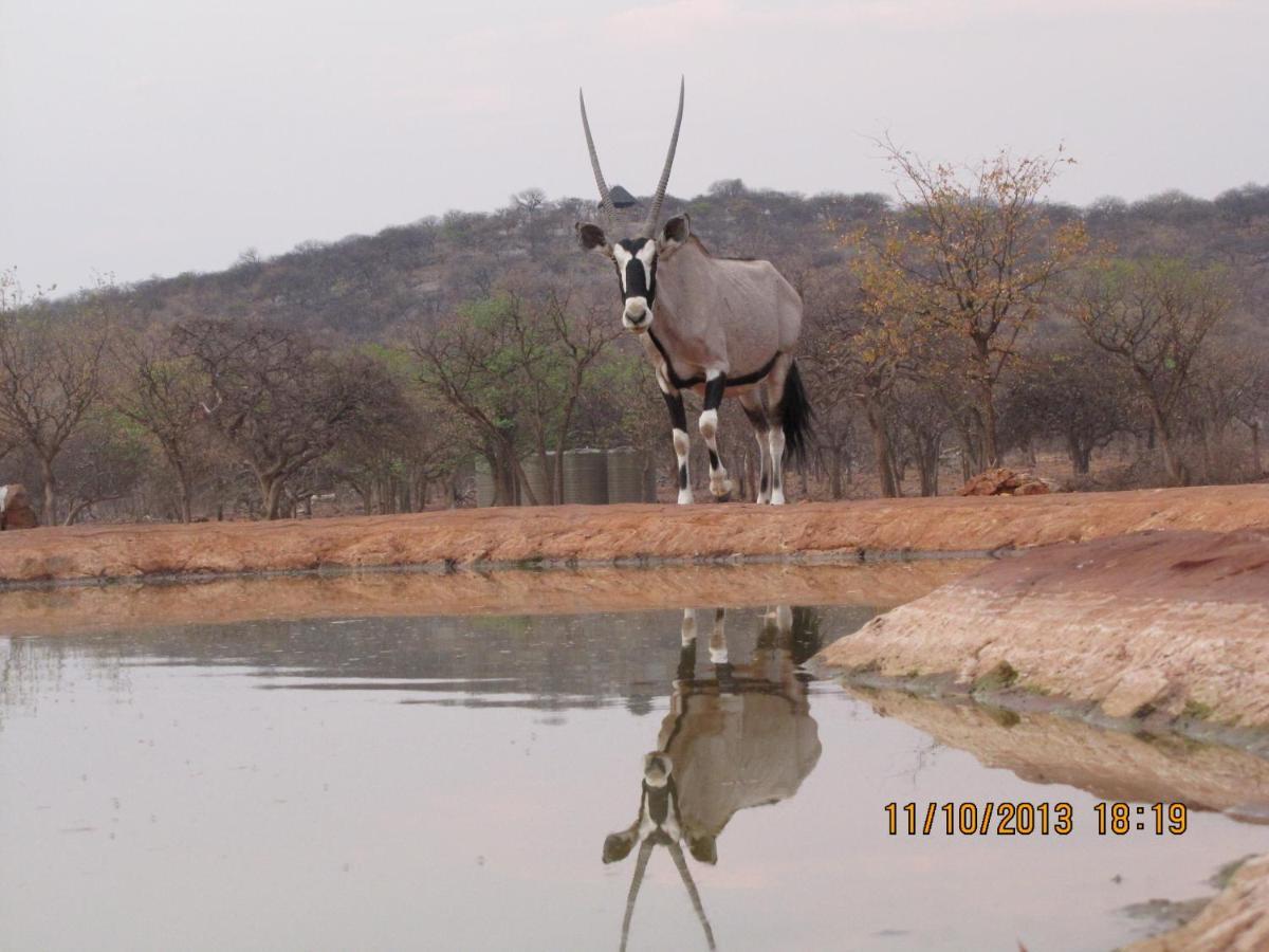 Okutala Etosha Lodge Outjo Ngoại thất bức ảnh